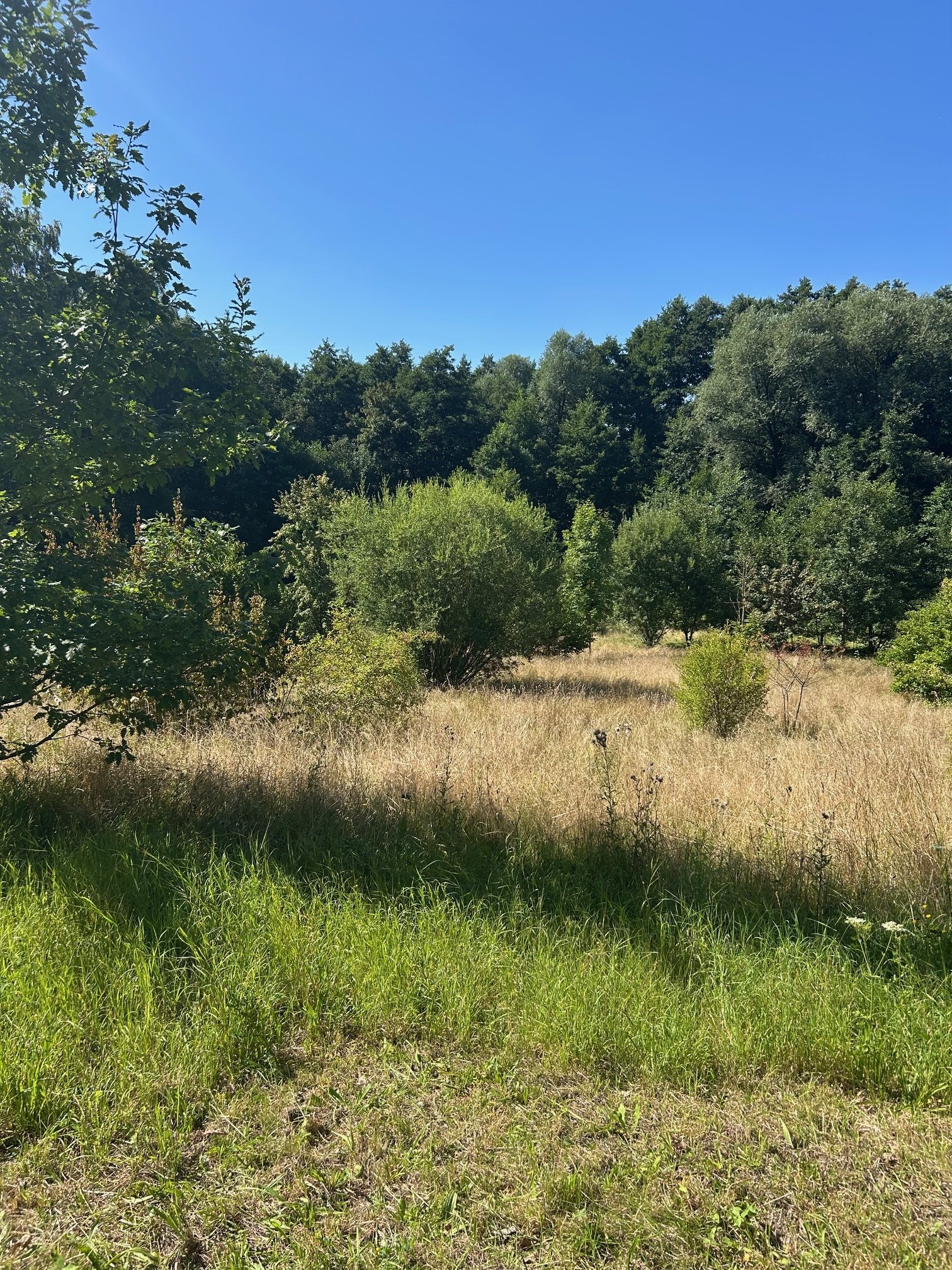 VERWIRKLICHEN SIE HIER IHREN TRAUM VOM EIGENEN HAUS IM GRÜNEN AM STADTRAND!! TEL. 01714863595 