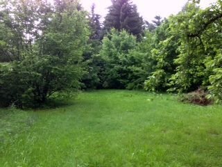 EIN PLATZ FÜR FAMILIENGLÜCK UND KINDERLACHEN - IHRE NEUE VILLA IM GRÜNEN! TEL.: 0171 4863595  