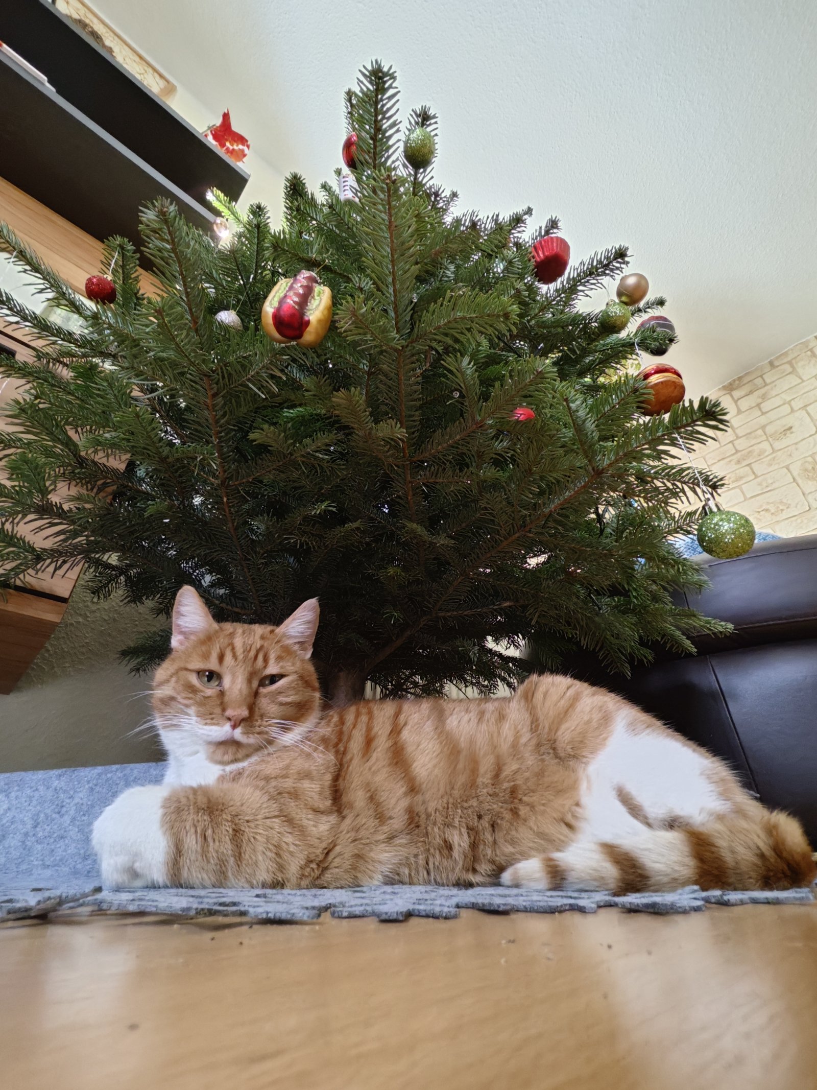 FEIERN SIE IHREN NÄCHSTEN GEBURTSTAG IM EIGENEN HAUS! TEL. 01714863595  