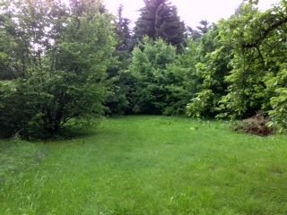 SIE WÜNSCHEN SICH IHR EIGENES HAUS MIT VIEL PLATZ FÜR IHRE FAMILIE? TEL.: 01714863595  