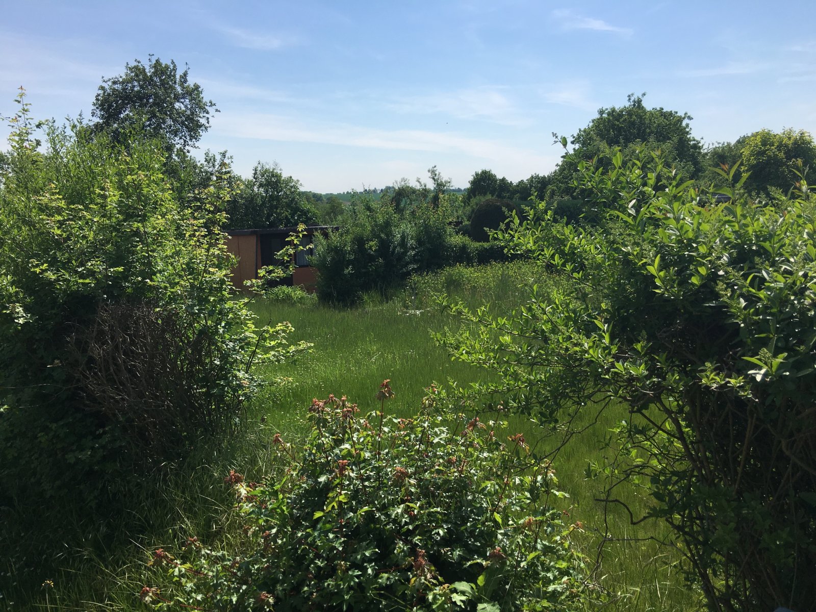 MIT DIESEM ANRUF BEGINNT IHR FAMILIENGLÜCK IM EIGENEN HAUS: TEL. 01714863595 