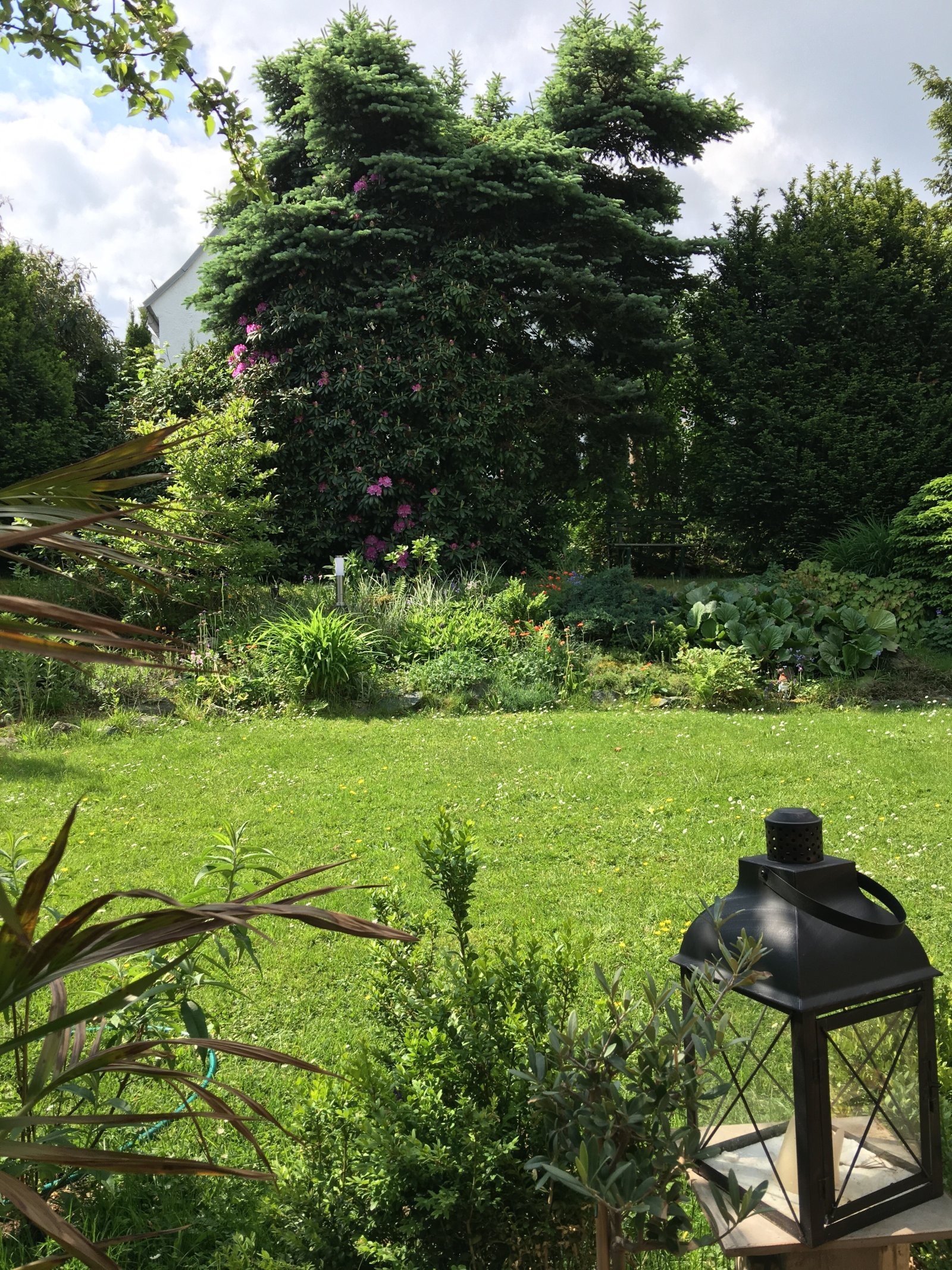 SCHATZ! WIR BRAUCHEN BALD MEHR PLATZ...LASS UNS EIN HAUS BAUEN! SCHNELL ANRUFEN: 01714863595 