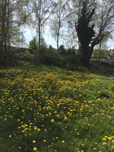 BAUEN SIE IHREN TRAUM - EIN EIGENES HAUS FÜR IHR GLÜCKLICHES FAMILIENLEBEN! TEL. 01714863595