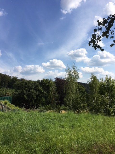 FREUEN SIE SICH AUF GEMÜTLICHE STUNDEN VORM KAMIN IN IHREM EIGENEN HAUS - TEL.: 01714863595    