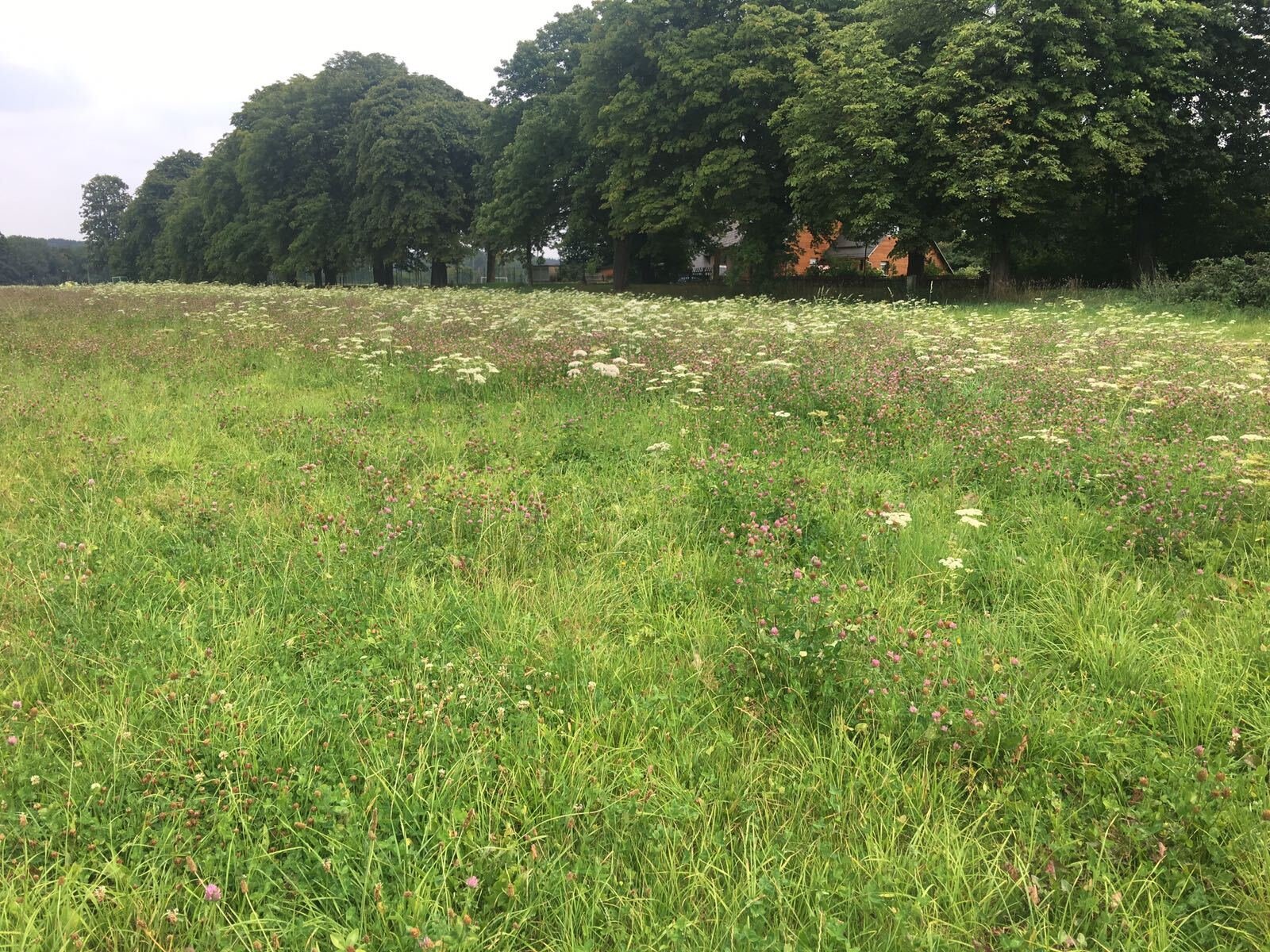 ENTSCHEIDEN SIE SICH JETZT FÜR IHR FAMILIENGLÜCK IM EIGENEN HAUS! TEL.: 0171 4863595