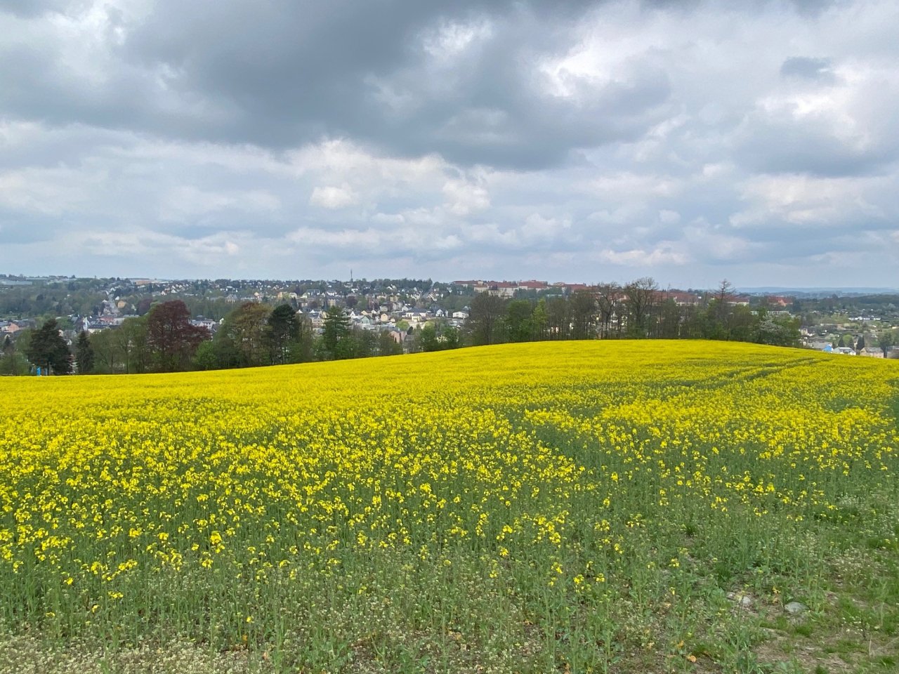MACHEN SIE AUS IHREM TRAUM EIN EIGENES HAUS FÜR IHRE LIEBSTEN!  TELEFON 01714863595  