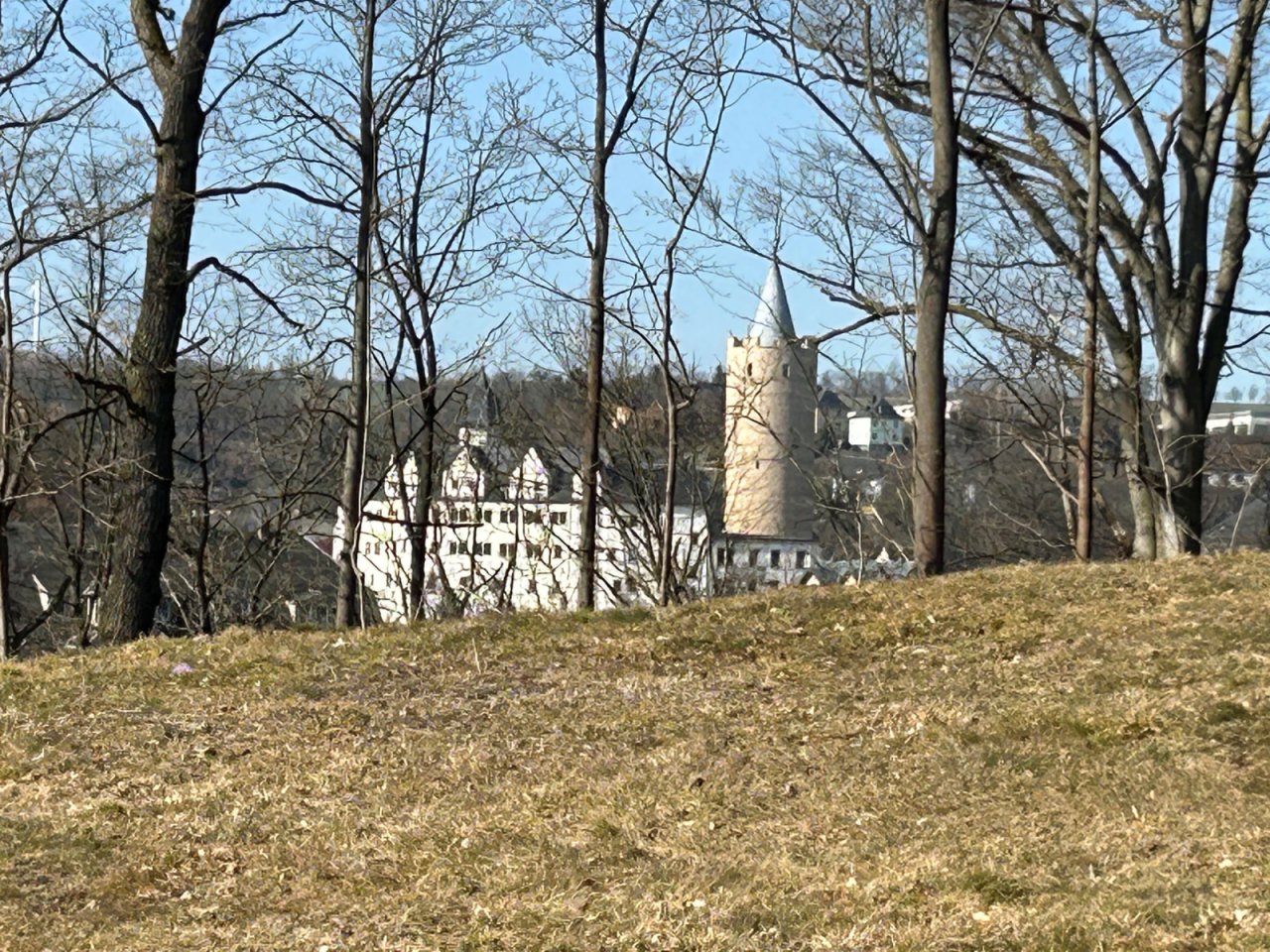 Ausblick auf die Burg Zschopau von Ihrer Terrasse aus 