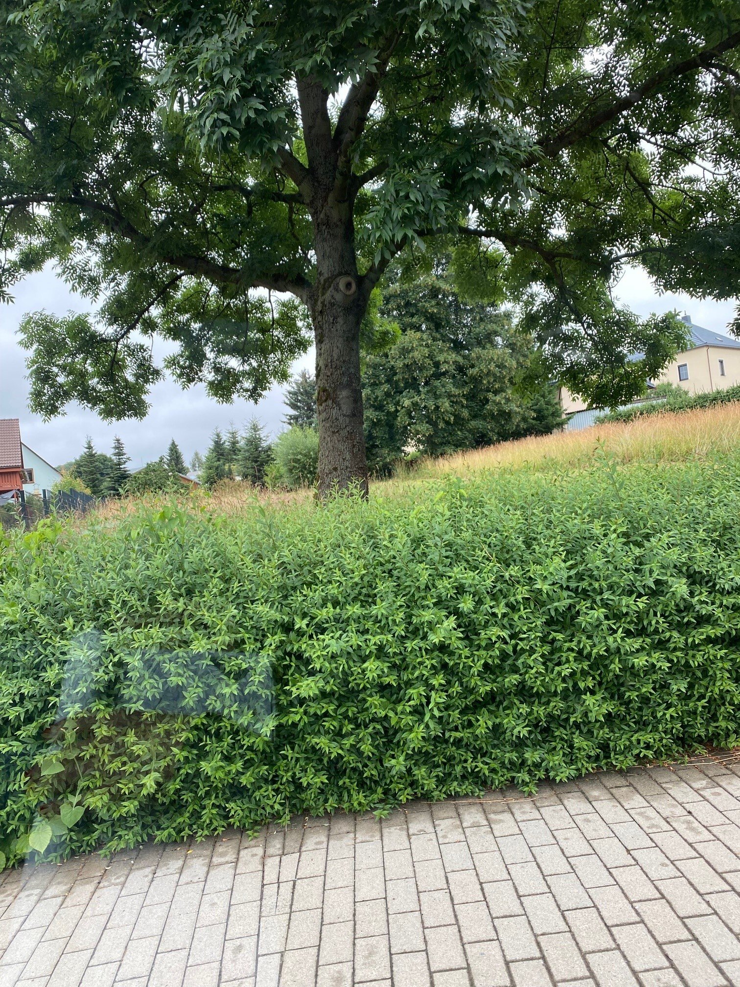 Grundstücksfindeservice für Baufamilien