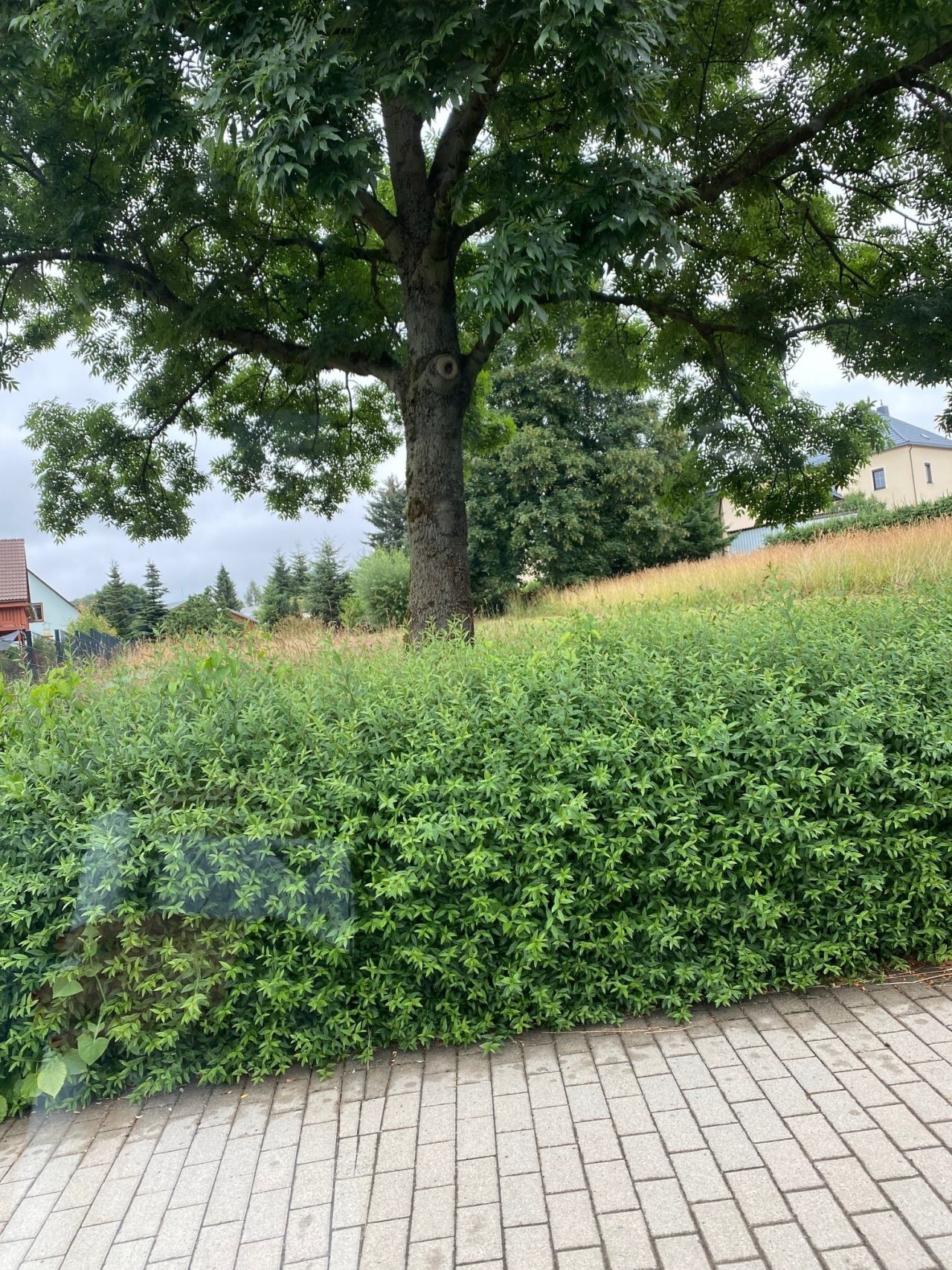 Grundstücksfindeservice für Baufamilien