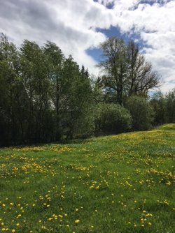 Grundstücksservice für Baufamilien