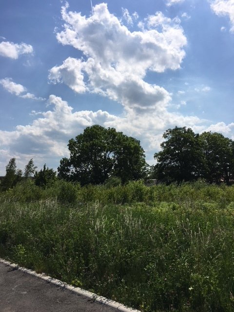 Grundstücksfinde-Service für Baufamilien