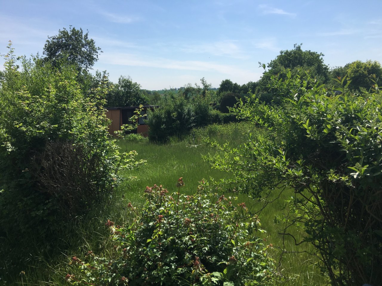 Grundstücksfindservice für Baufamilien