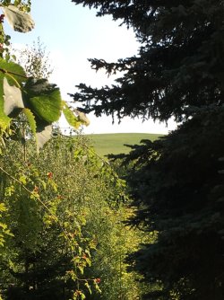 Wohnen im schönen Erzgebirge Wohnen im schönen Erzgebirge