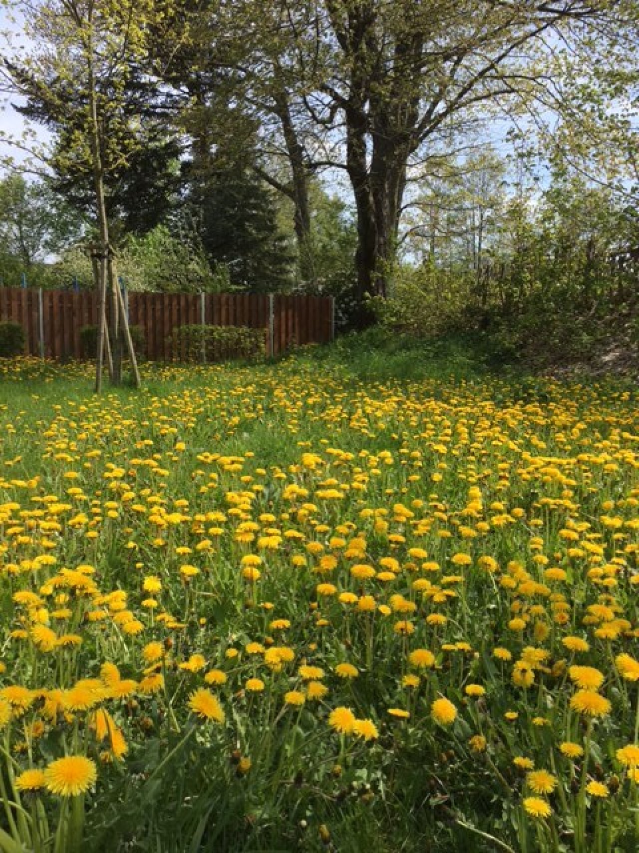 Genießen Sie Ihr Leben in blühender Natur und Ruhe Genießen Sie Ihr Leben in blühender Natur und Ruhe